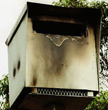 Burnt speed camera, Bateau Bay
