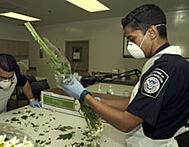 USDA inspectors