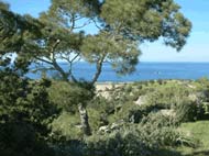 Cyprus
