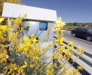 Spanish speed camera flowers