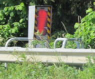 French speed camera painted red