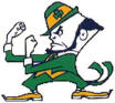 Fighting Irish