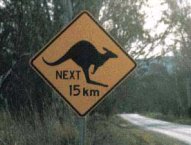 Kangaroo Crossing
