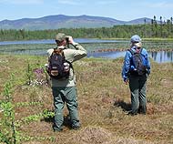 Hikers in New Hampshire