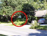 Hidden Speed Limit Sign